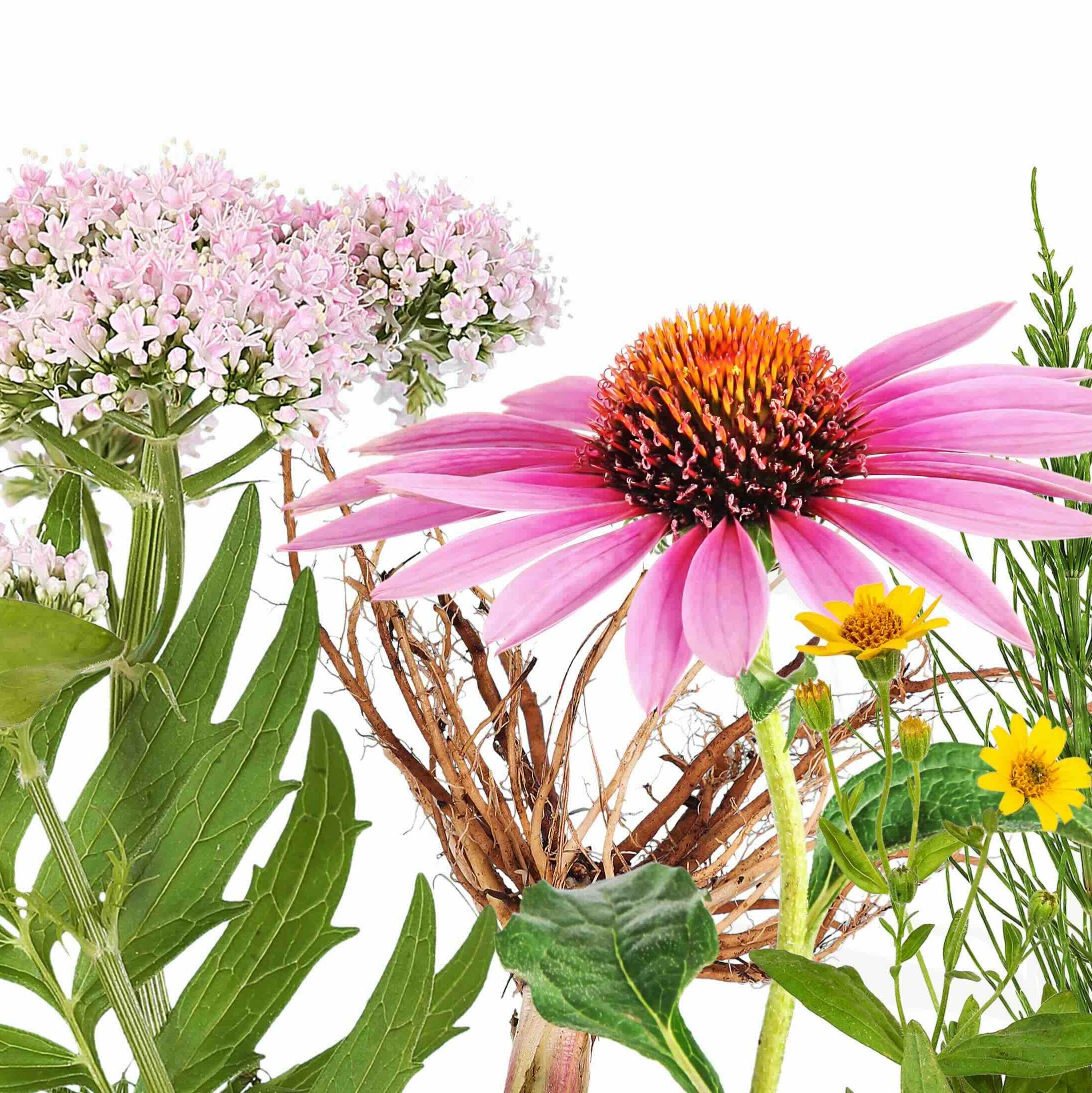 Festett üveg konyhai falburkolatokhoz #1049